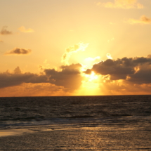 SONY DSC